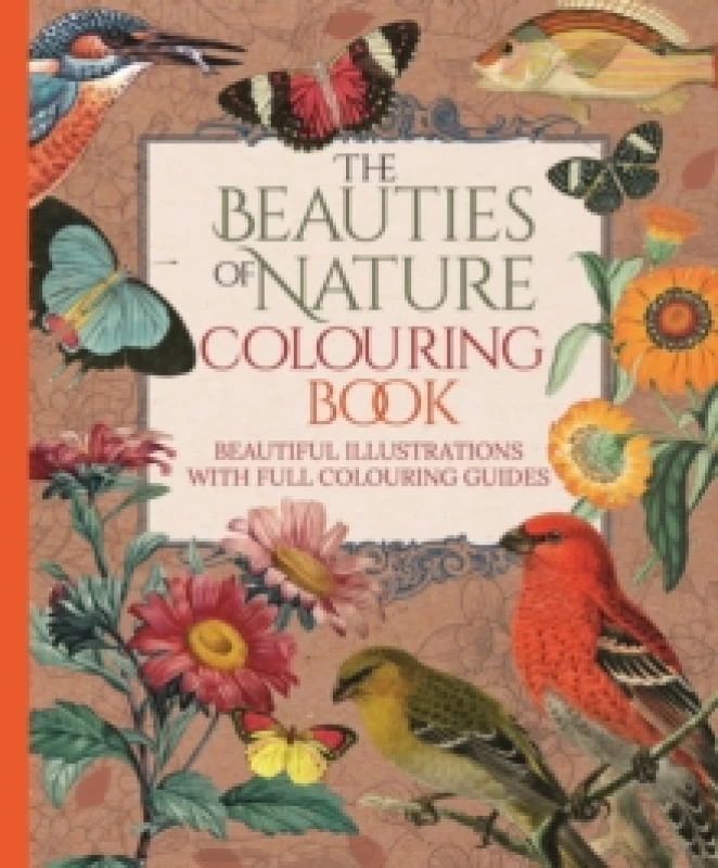 Image of The Beauties of Nature Colouring Book : Beautiful Illustrations with Full Colouring Guides Paperback / softback