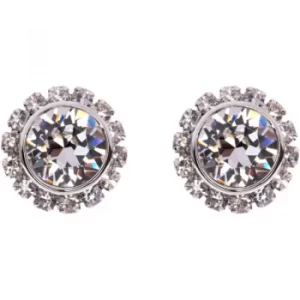 Image of Ted Baker Ladies Stainless Steel Sully Crystal Chain Stud Earring