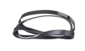 Image of RIDEX V-ribbed belt VW,AUDI,MERCEDES-BENZ 305P0085 46479557,46787907,55189687 60814616,60816661,71734715,71753870,078903137AP,19244954,4891875AA