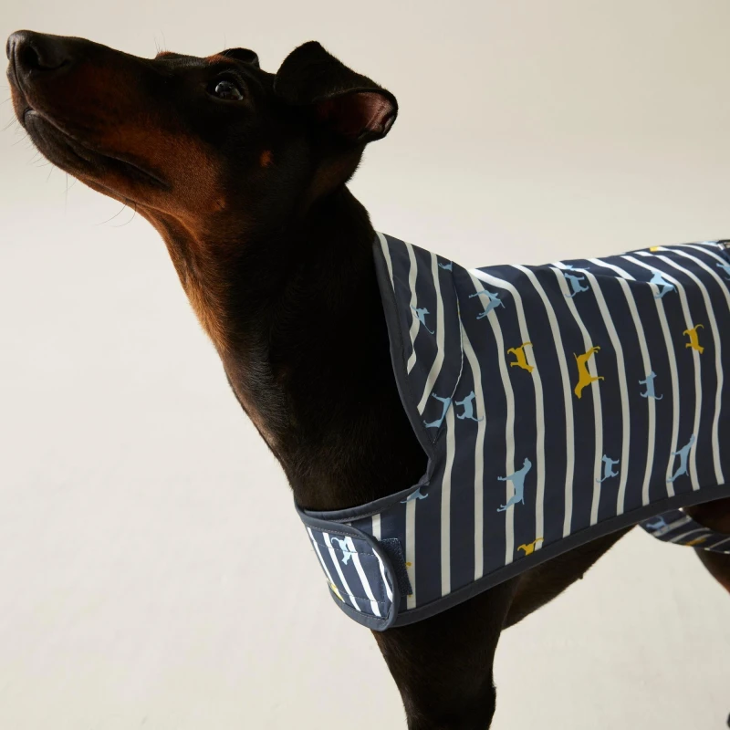 Image of Regatta Arlo Waterproof Dog Coat - NvyBattersea NvyBattersea M