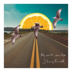 Image of Johnny Borrell - My World. Your Life Vinyl