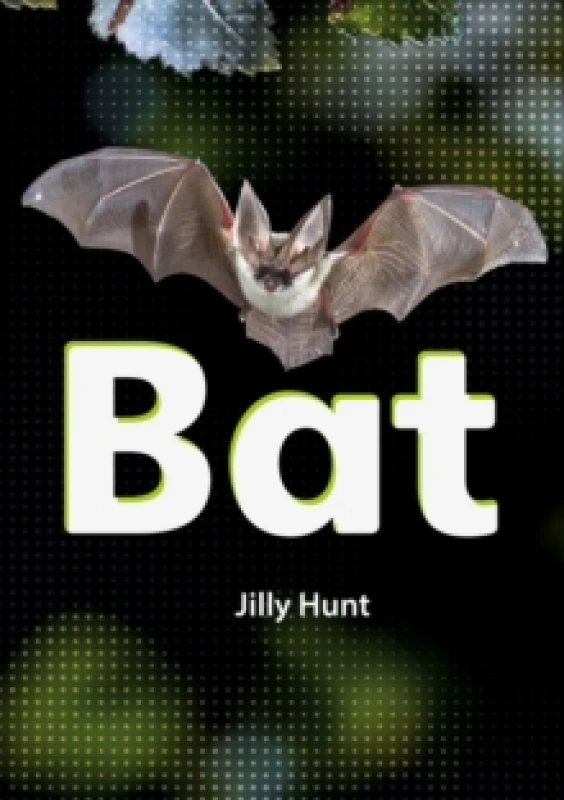 Image of Bat (Set 02) Paperback / softback