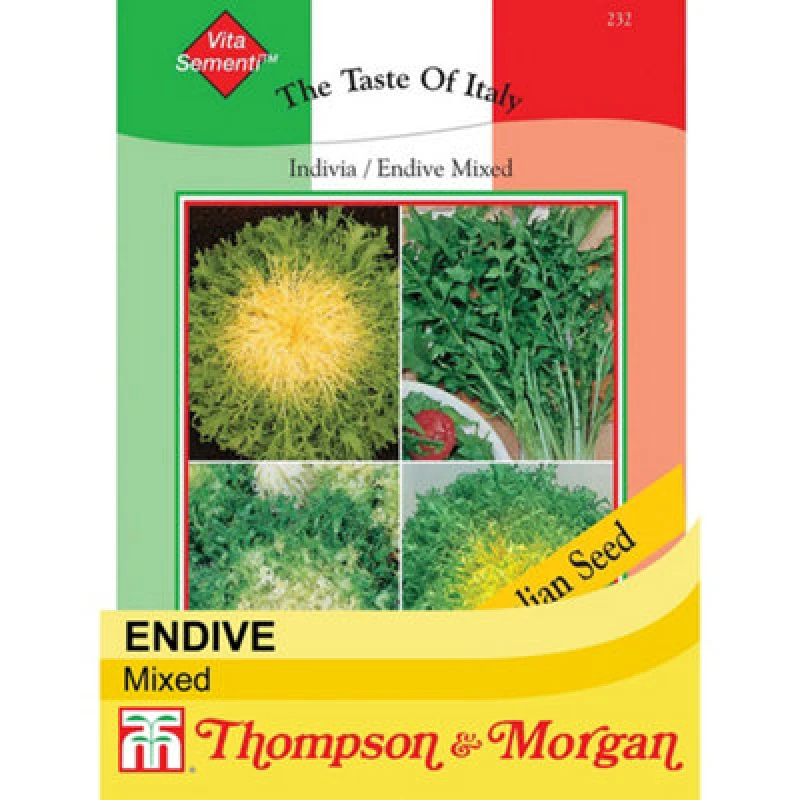 Image of Thompson & Morgan Endive Mixed - Vita 1 Seed Packet (6000 Seeds)