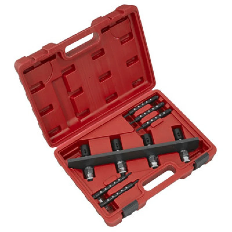 Image of Sealey Petrol Fuel Injection Removal and Installation Kit for BMW and Mini Vehicles VS2081