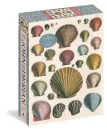 Image of John Derian Paper Goods: Shells 1,000 Piece Puzzle
