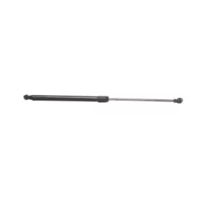 Image of RIDEX Tailgate strut 219G0005 Gas spring, boot- / cargo area,Boot struts RENAULT,SCENIC II (JM0/1_),GRAND SCENIC II (JM0/1_)