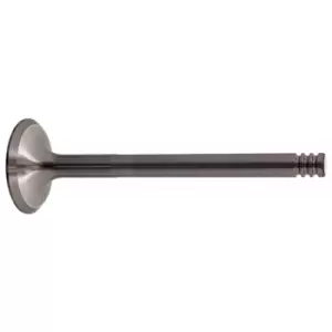 Image of Inlet Valve 19966 by Febi Bilstein