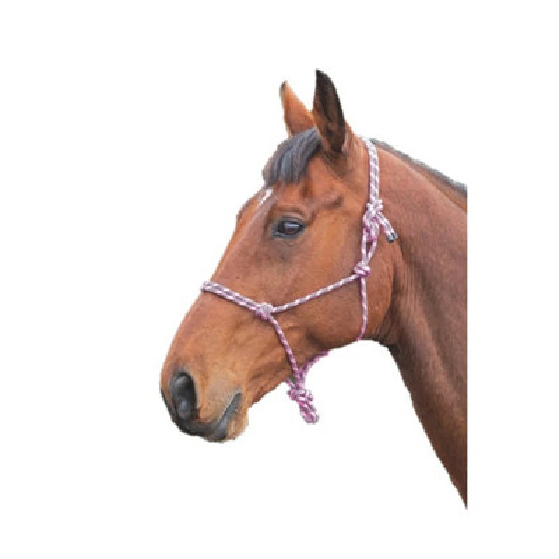 Image of Shires Rope Horse Headcollar Pink/black (One Size)