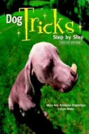Image of dog tricks step by step