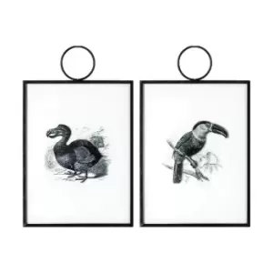 Image of Gallery Interiors Exotic Birds Hanging Art Set Of 2 Wall Art Outlet