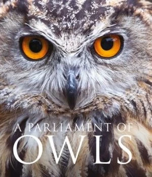 Image of A parliament of owls by Mike Unwin