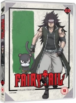 Image of Fairy Tail Collection 22 - DVD