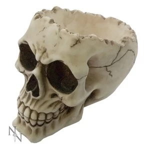 Image of Lobo Skull