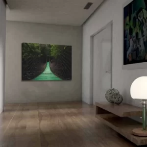 Image of 701002021C-035 Multicolor Decorative Canvas Painting