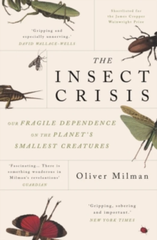Image of The Insect Crisis : Our Fragile Dependence on the Planet's Smallest Creatures Paperback / softback