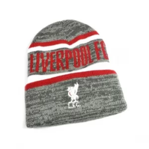 Image of Liverpool Whitaker Grey Turn Up Hat