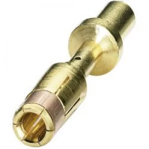 Image of Coninvers 1605758 SM 36KS002 Gold