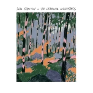Image of The Changing Wilderness by Will Stratton CD Album