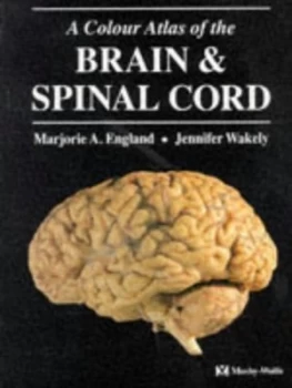 Image of A Colour Atlas of the Brain and Spinal Cord by Marjorie a England and Jennifer Wakely Paperback