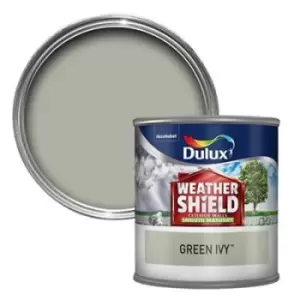 Image of Dulux Weathershield All Weather Protection Green Ivy Smooth Masonry Paint 250ml