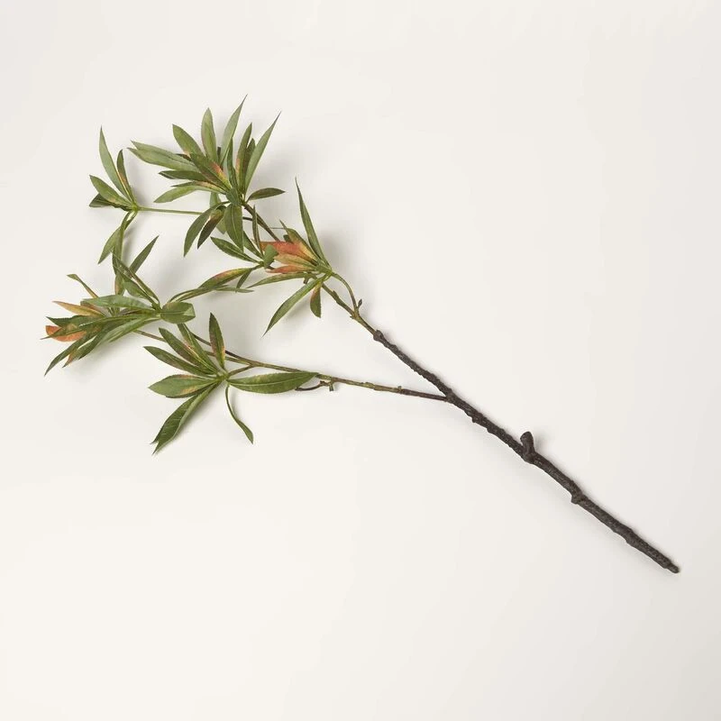 Image of Homescapes Green Elaeocarpus Leaf Single Stem Spray 92cm Green