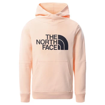 Image of The North Face DREW PEAK HOODIE 2.0 Girls Childrens Sweatshirt in Pink - Sizes 8 years,10 years,12 years,14 years,6 years