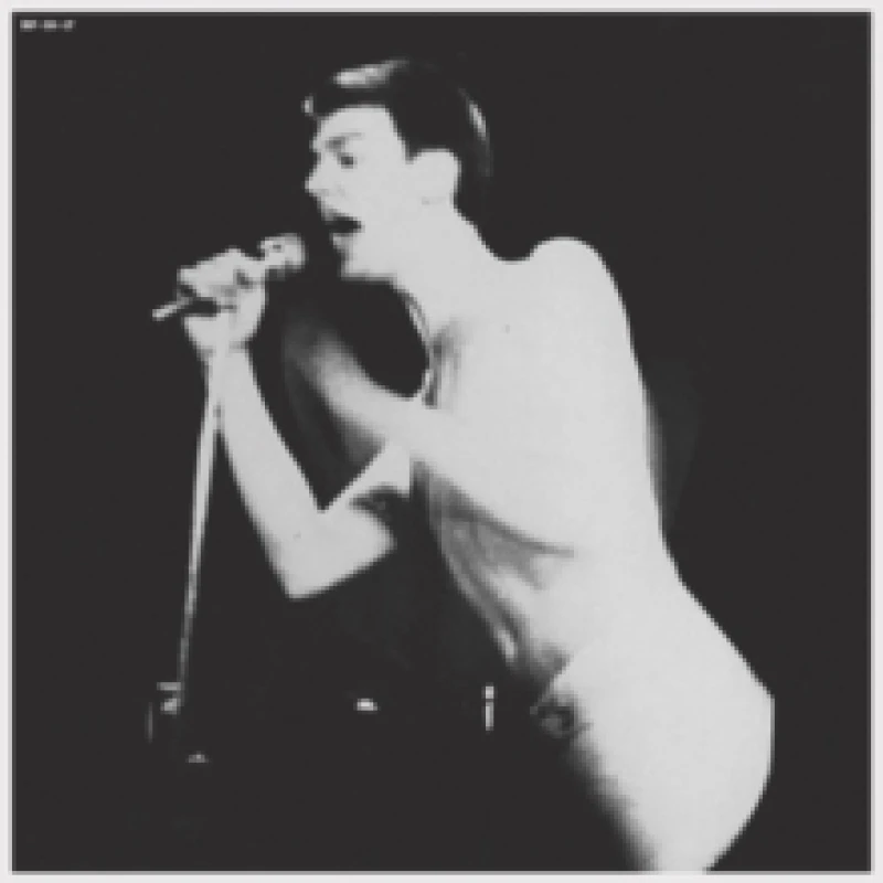 Image of Kristaller Vinyl