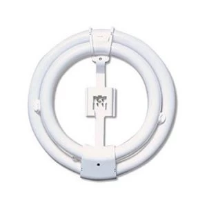 Image of Unilux Replacement Fluorescent Circular Bulb for Uplighter