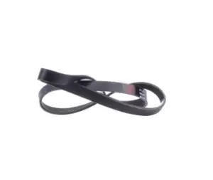 Image of RIDEX V-ribbed belt VW,MERCEDES-BENZ,BMW 305P0397 11281741427,MN158101,117209098R MD368275,55191006,73501649,9771326300,5867501390,8970631730,55191006