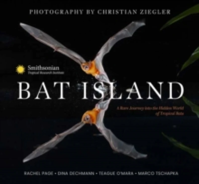 Image of Bat Island : A Rare Journey into the Hidden World of Tropical Bats Hardback
