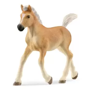 Image of Schleich Horse Club Haflinger Foal Toy Figure, 5 to 12 Years, Tan...