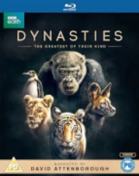 Image of Dynasties (Bluray)