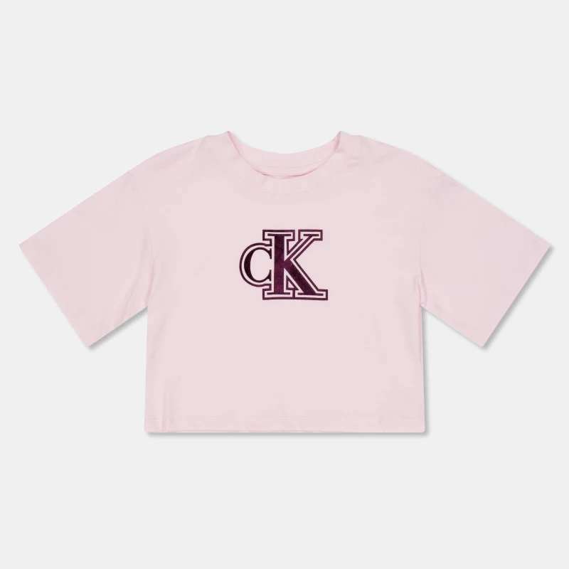 Image of Calvin Klein Jeans Kids Velvet Boxy T-Shirt Pearly Pink female 12Y