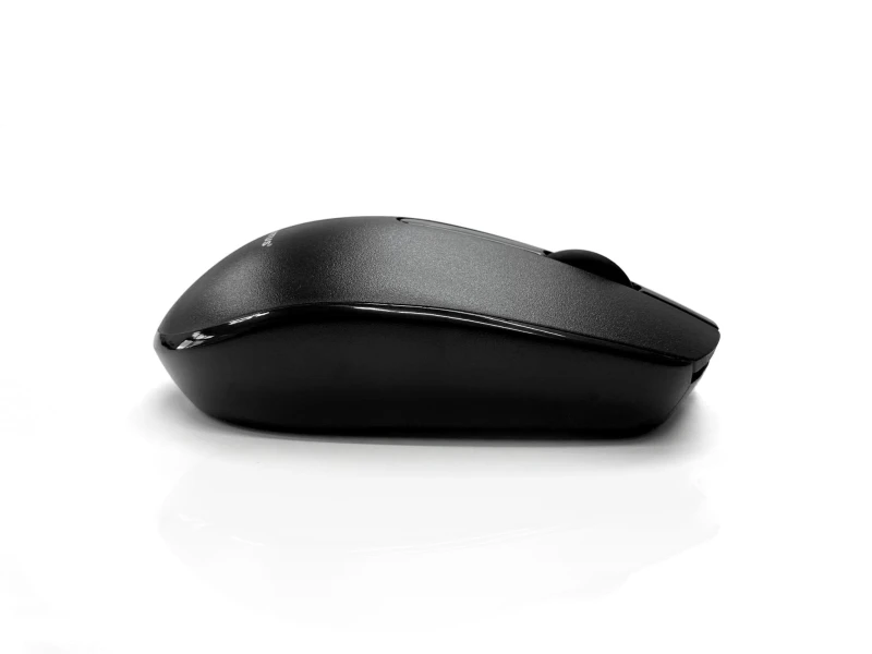 Image of Accuratus Accuratus MOU-M100-BTRF-BK mouse Office Ambidextrous Bluetooth Optical 800 DPI MOU-M100-BTRF-BK