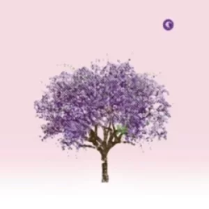 Image of Tomorrow Morning by Eels CD Album