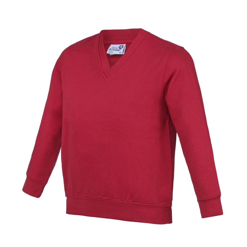 Image of Awdis Academy boys's Children's sweater in Red
