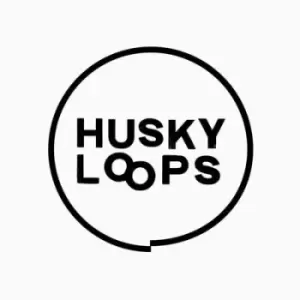 Image of Ep 2 by Husky Loops Vinyl Album