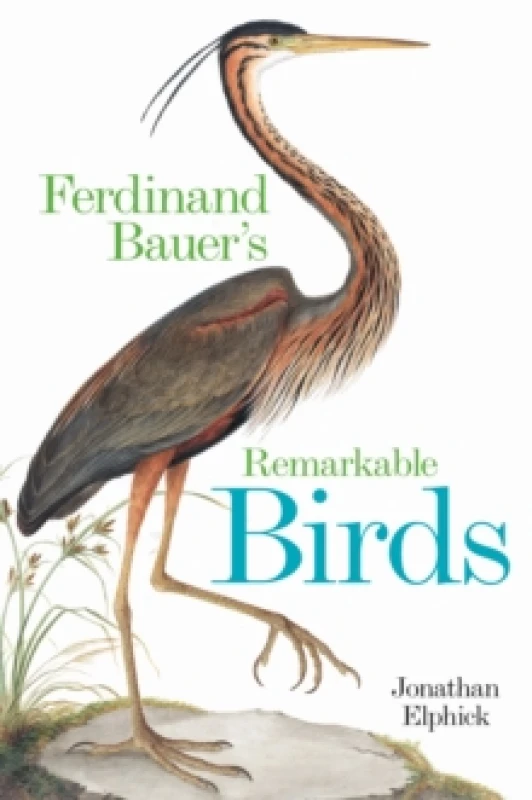 Image of Ferdinand Bauer's Remarkable Birds Hardback