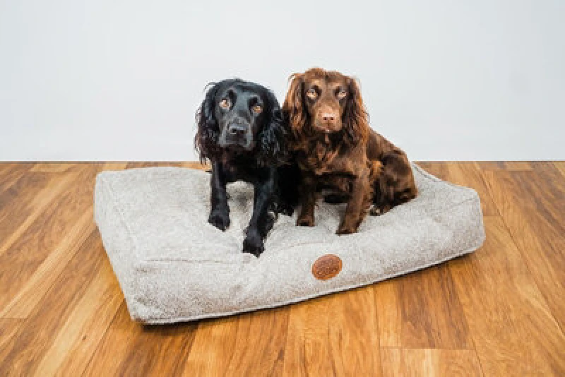 Image of Snug & Cosy Pets Teddy Boucle Luxurious Dog Lounger Medium 24"