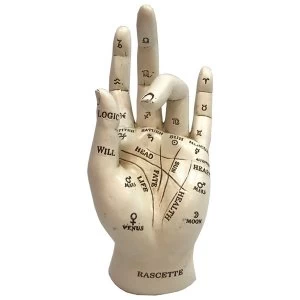 Image of Palmistry Fortune Telling Hand Figure
