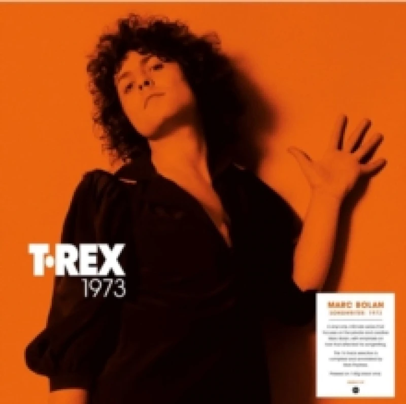 Image of Songwriter: 1973 Vinyl