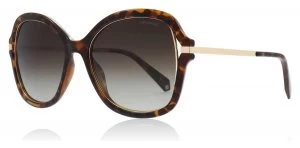 Image of Polaroid PLD4068/S Sunglasses Havana 086 Polariserade 55mm