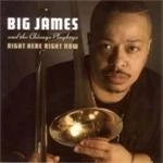 Image of Big James & The Chicago Playboys - Right Here Right Now (Music CD)