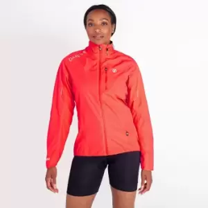 Image of Mediant II Jacket