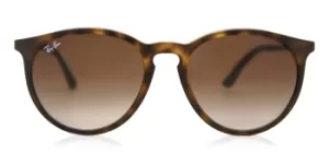 Image of Ray-Ban Sunglasses RB4274 856/13