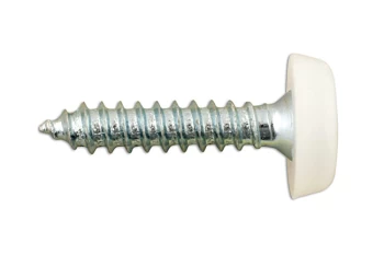 Image of Number Plate Screw White No 10 x 1 Pk 100 Connect 31546