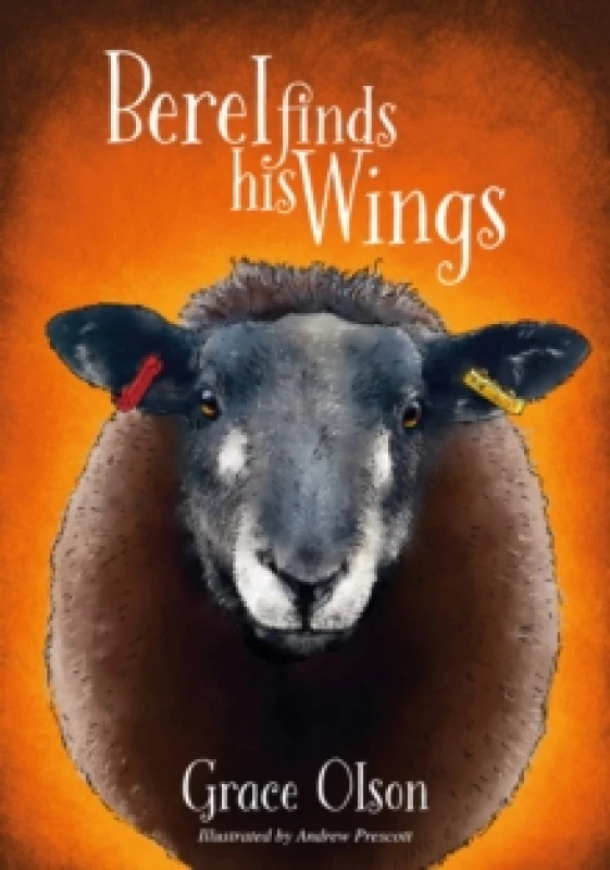 Image of Berel Finds His Wings Paperback / softback