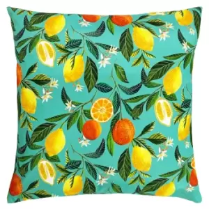 Image of Orange Blossom Outdoor Filled Cushion 43x43cm