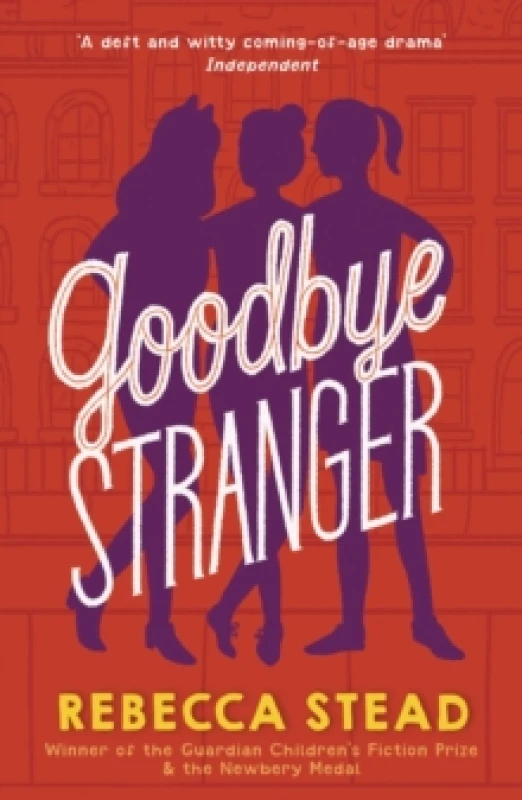 Image of Goodbye Stranger Paperback / softback