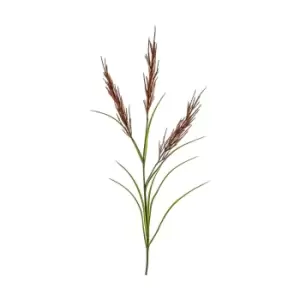Image of Crossland Grove Pampas Spray Russet/Green 1110Mm
